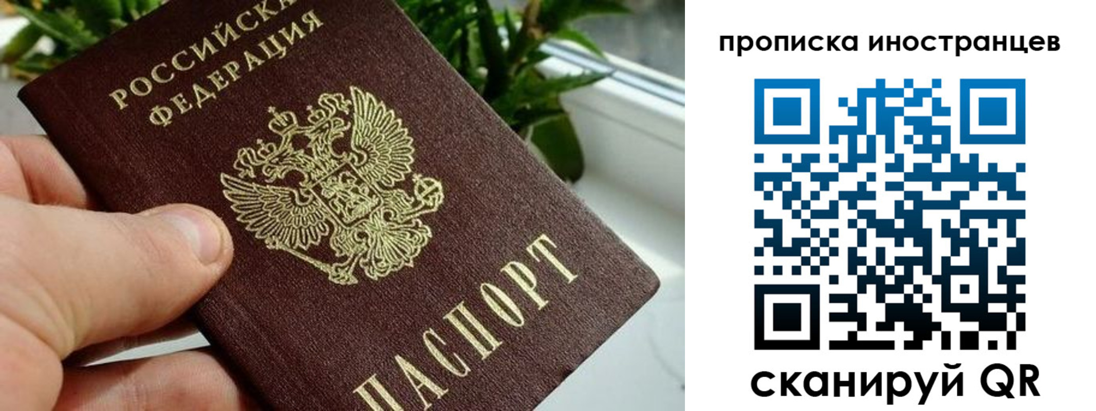 временная регистрация в Нерехте